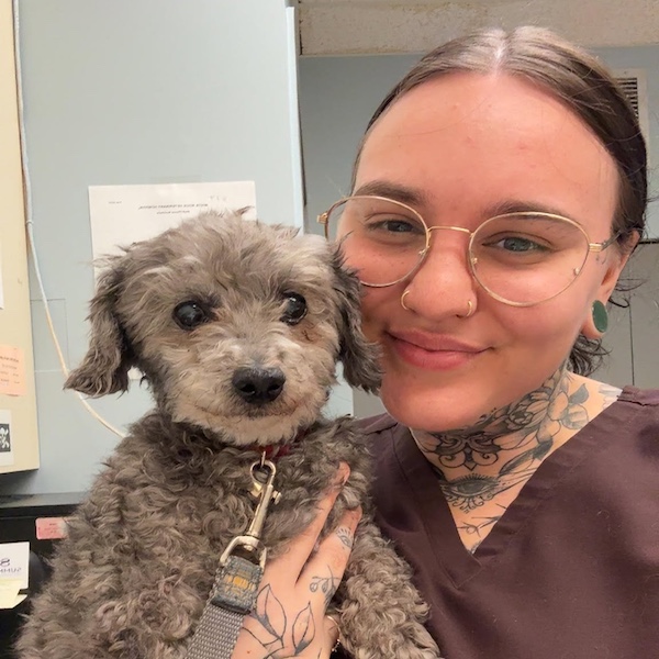 paige white rock veterinary hospital