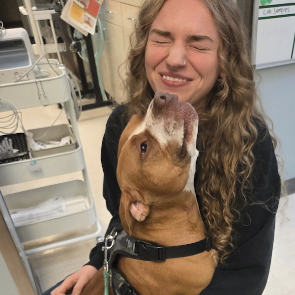 elia veterinary assistant white rock